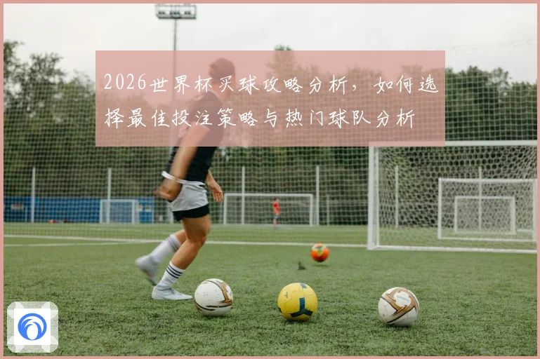 2026世界杯买球攻略分析，如何选择最佳投注策略与热门球队分析