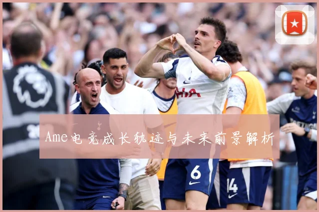 Ame电竞成长轨迹与未来前景解析