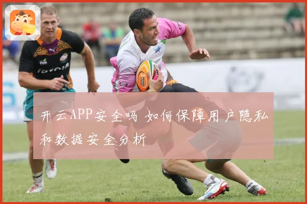 开云APP安全吗 如何保障用户隐私和数据安全分析