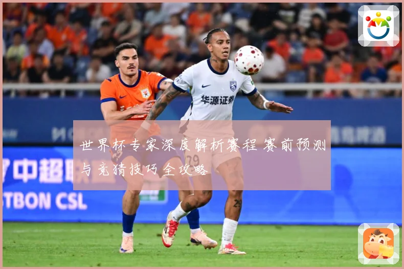 世界杯专家深度解析赛程 赛前预测与竞猜技巧全攻略
