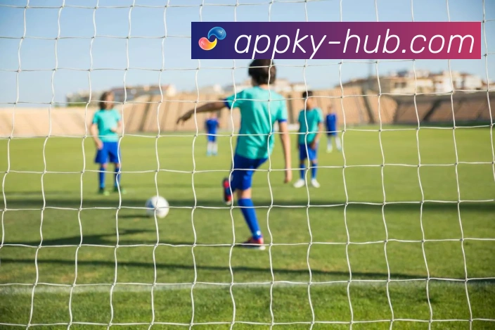 开云账户无法登录的原因分析与解决方法详细指南